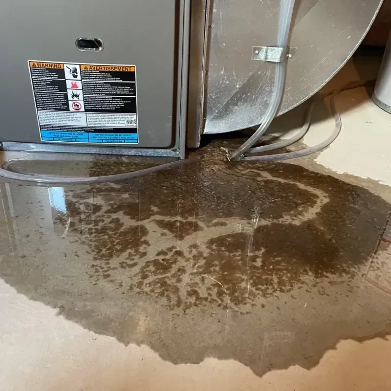 Appliance Leak Cleanup in Timmonsville, SC